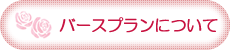 バースプランについて